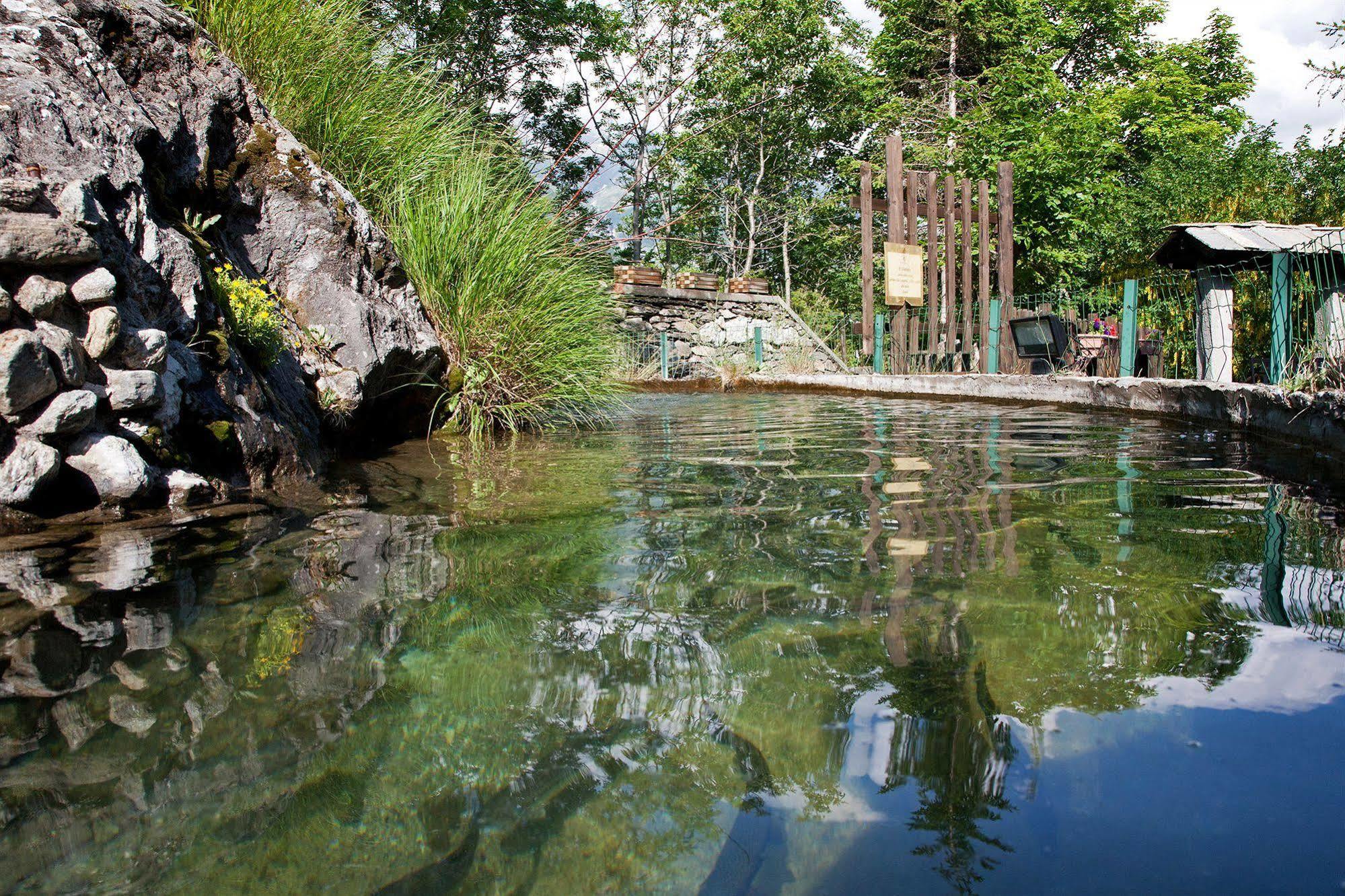 Hotel Sul In Montagna *